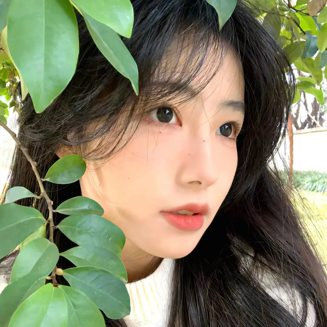 动物频道